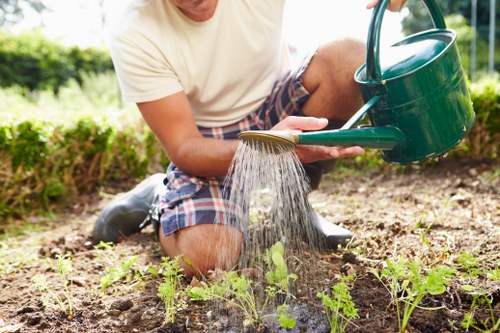 Gardeners Hainault team at work in a residential garden
