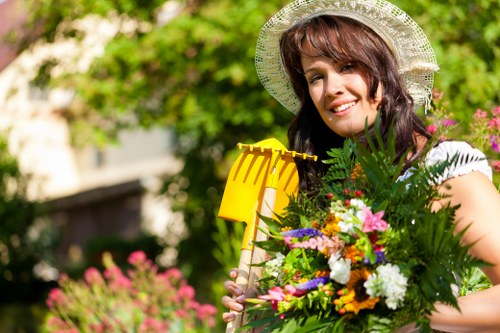 Seasonal lawn care tips for Hainault